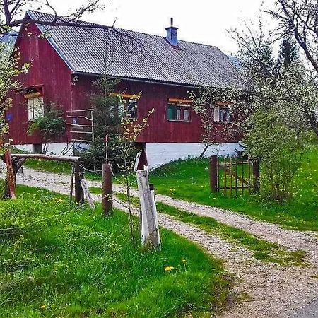 Draga Koncar Guest House Vrelo Koreničko エクステリア 写真
