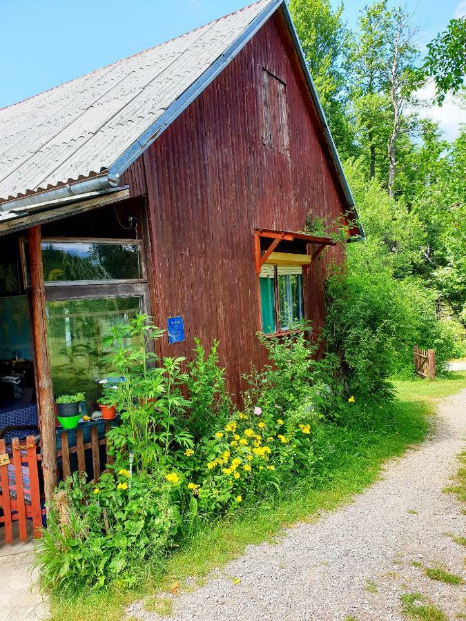 Draga Koncar Guest House Vrelo Koreničko エクステリア 写真