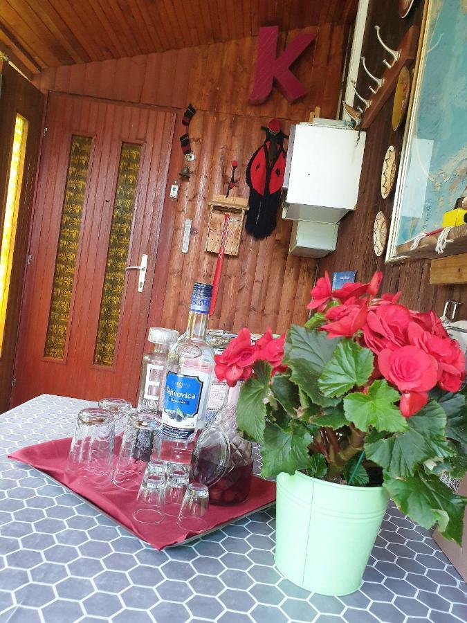 Draga Koncar Guest House Vrelo Koreničko エクステリア 写真