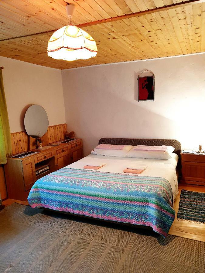 Draga Koncar Guest House Vrelo Koreničko エクステリア 写真
