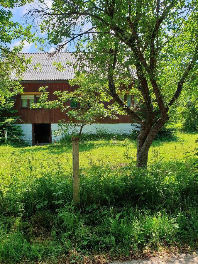 Draga Koncar Guest House Vrelo Koreničko エクステリア 写真