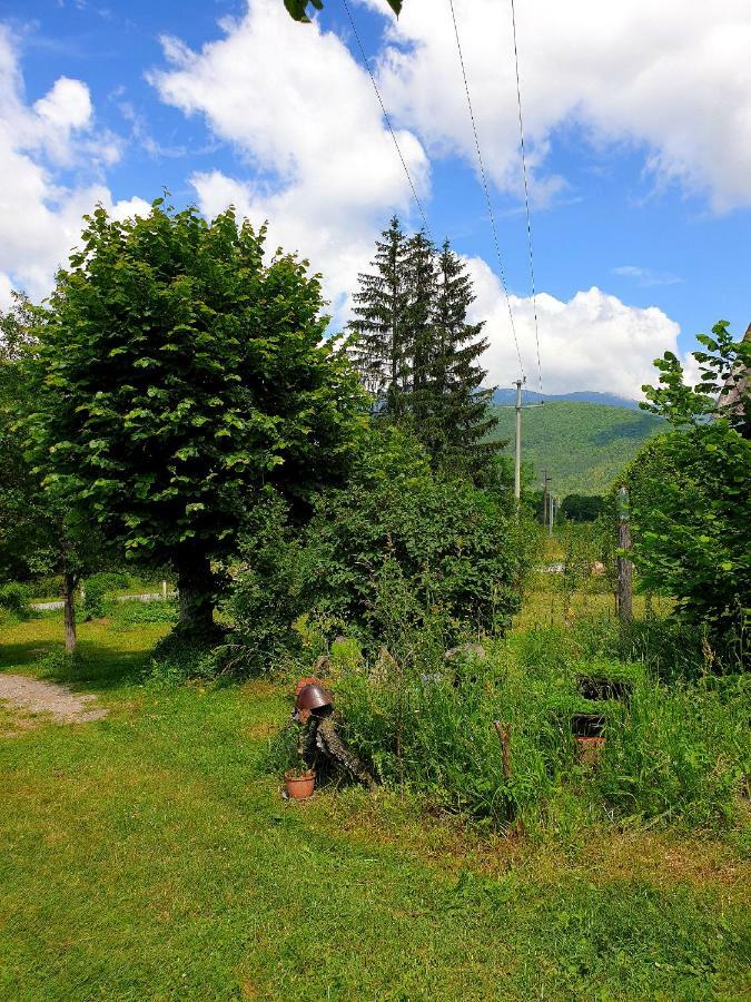 Draga Koncar Guest House Vrelo Koreničko エクステリア 写真