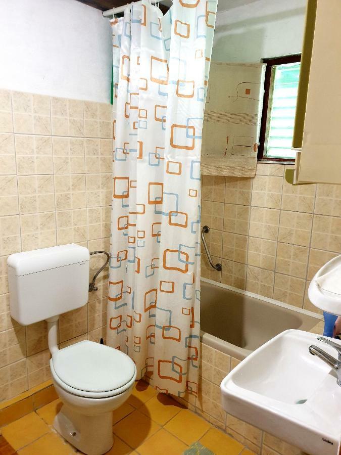 Draga Koncar Guest House Vrelo Koreničko エクステリア 写真