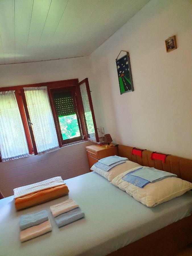 Draga Koncar Guest House Vrelo Koreničko エクステリア 写真